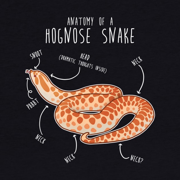 Albino Hognose Snake Anatomy by Psitta